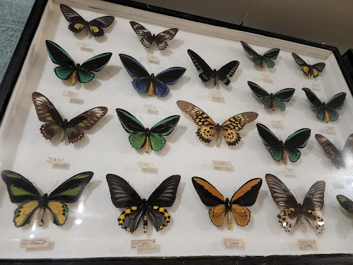 Museum «May Natural History Museum», reviews and photos, 710 Rock Creek Canyon Rd, Colorado Springs, CO 80926, USA