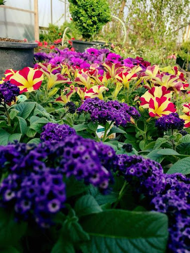 Garden Center «Schott Gardens», reviews and photos, 2209 Nashville Rd, Bowling Green, KY 42101, USA