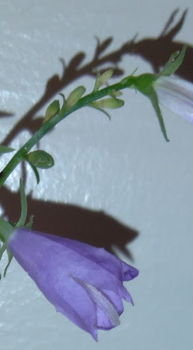 State Park «Lowell Heritage State Park», reviews and photos, 160 Pawtucket Blvd, Lowell, MA 01854, USA