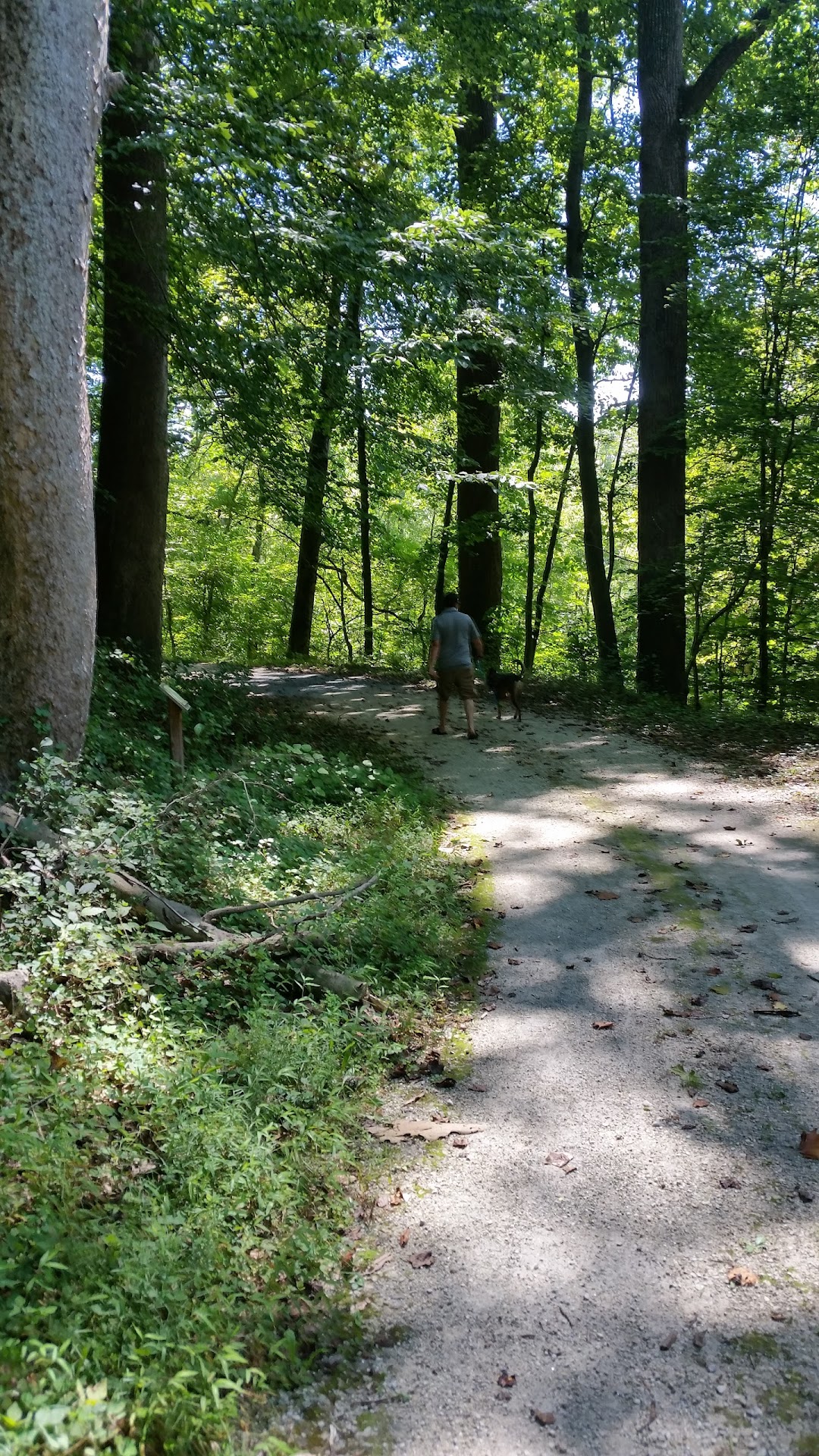 Gwynns Falls Trail
