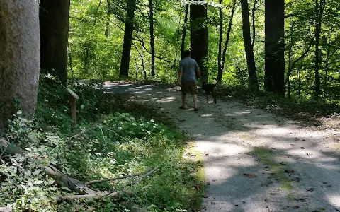 Gwynns Falls Trail image