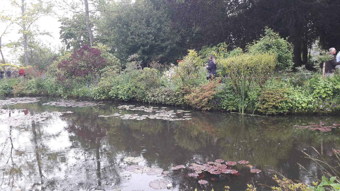 Photo n° 2 de l'avis de Olive.. fait le 19/05/2019 à 15:09