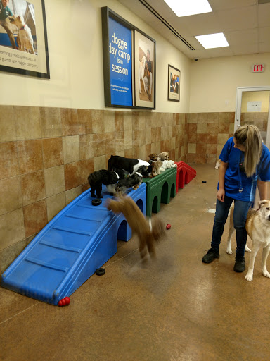 Pet Supply Store «PetSmart», reviews and photos, 1140 W Elliot Rd, Tempe, AZ 85284, USA