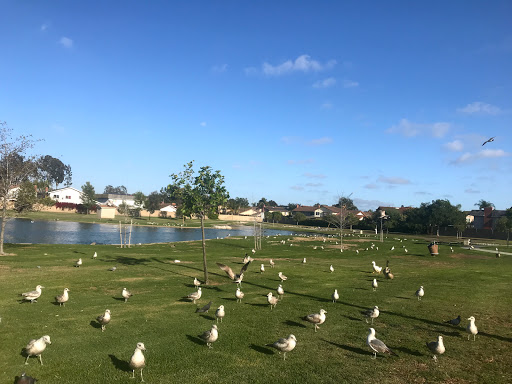 Park «Greer Park», reviews and photos, 6900 W McFadden Ave, Huntington Beach, CA 92647, USA