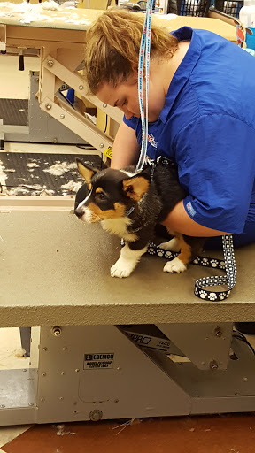 Pet Supply Store «PetSmart», reviews and photos, 4013 Wisconsin 28, Kohler, WI 53081, USA