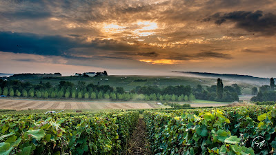 Champagne Dehours et Fils à Mareuil-le-Port
