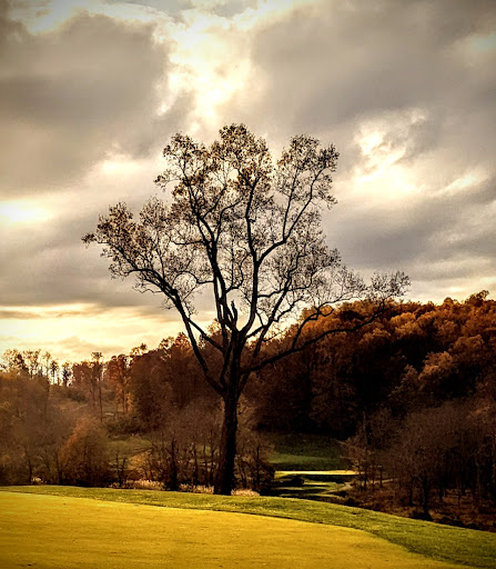 Golf Course «The Golf Course at Glen Mills», reviews and photos, 221 Glen Mills Rd, Glen Mills, PA 19342, USA