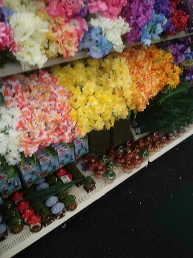 Dollar Store «Dollar Tree», reviews and photos, 1321 Marvin Rd NE, Lacey, WA 98516, USA