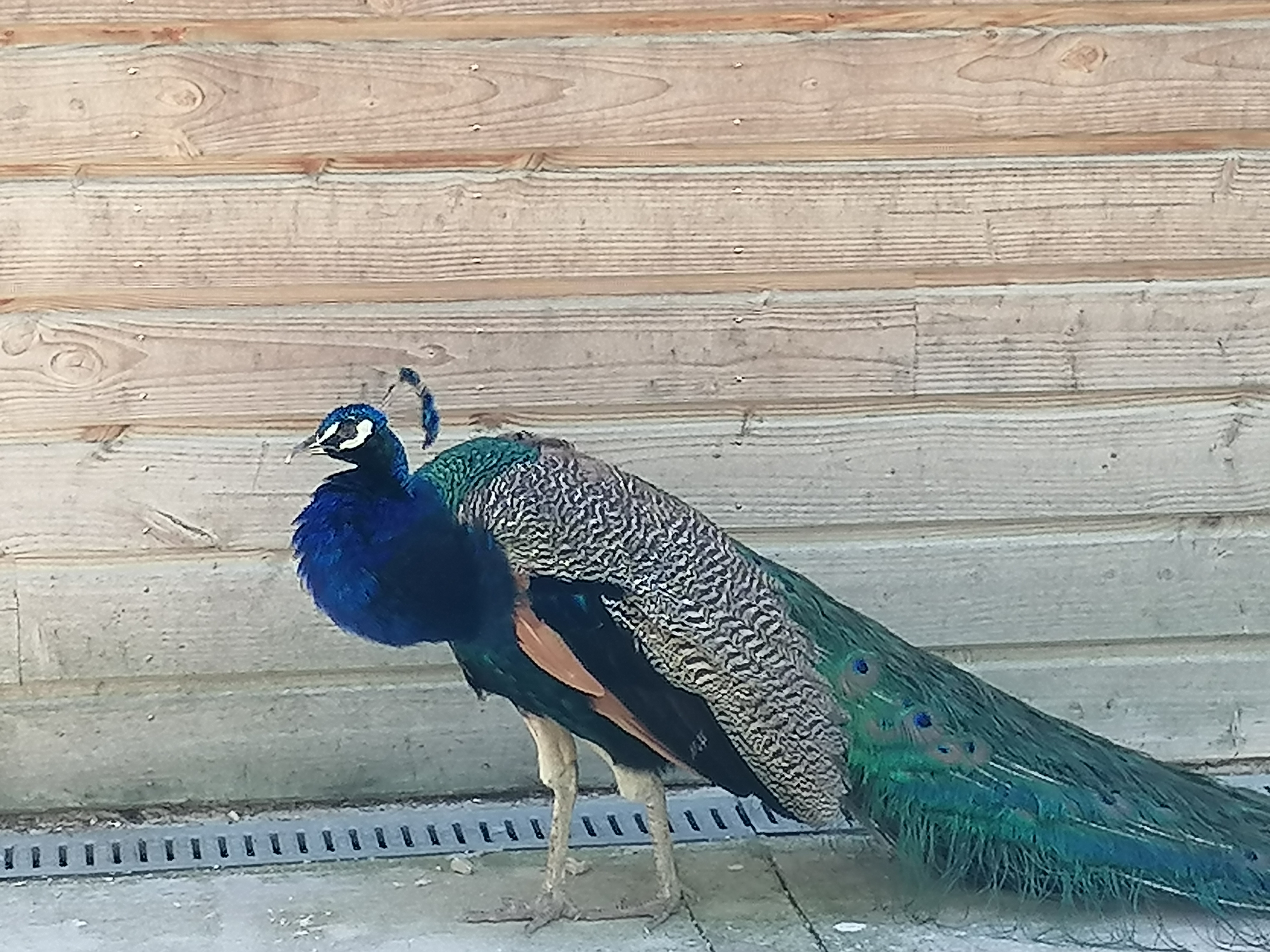 Photo n° 1 de l'avis de Mamy.a fait le 20/07/2022 à 17:32