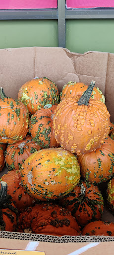 Grocery Store «Grocery Outlet bargain market», reviews and photos, 1130 Los Osos Valley Rd, Los Osos, CA 93402, USA