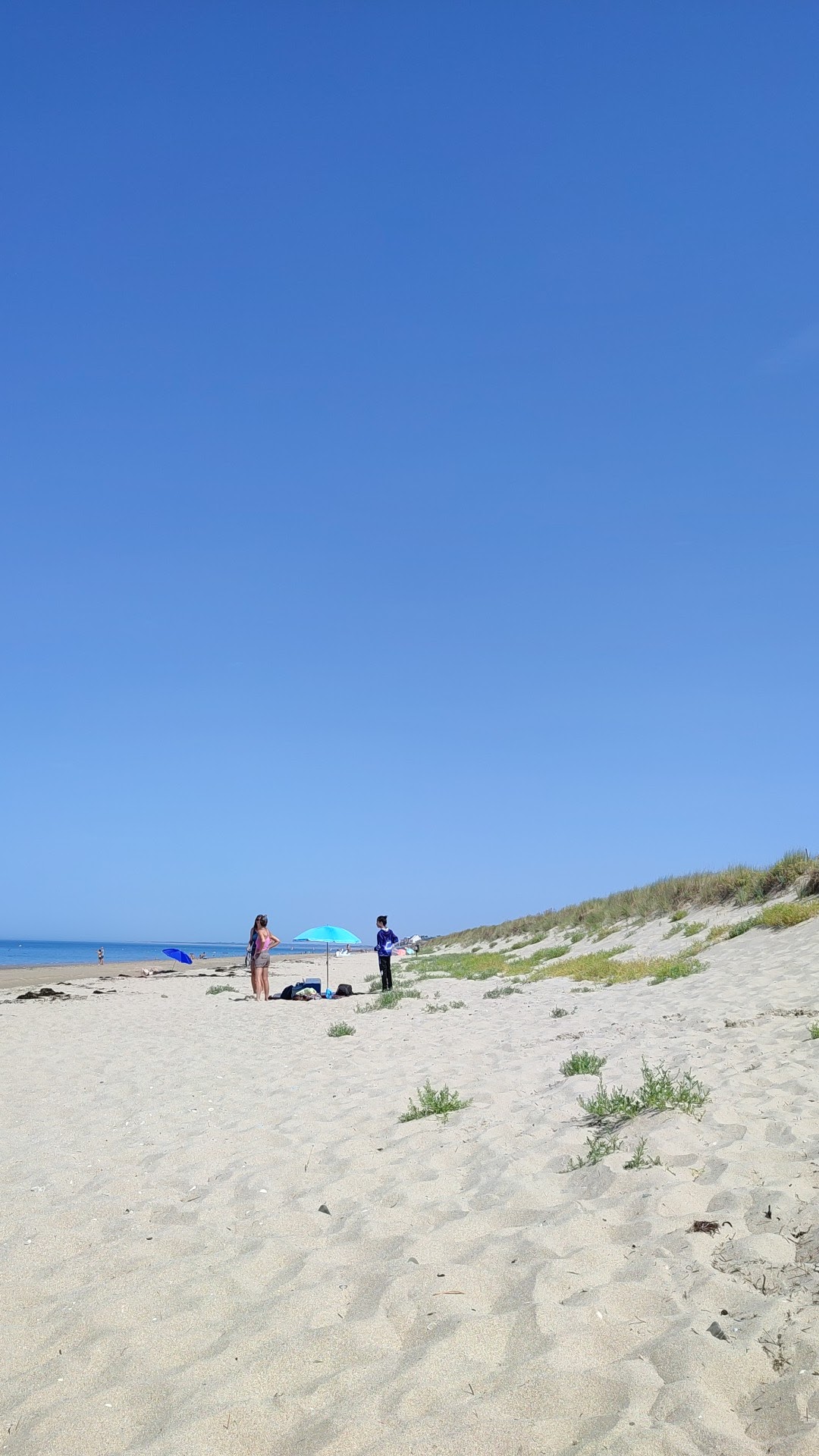 Photo n° 11 de l'avis de Bruno.l fait le 13/08/2022 à 16:51