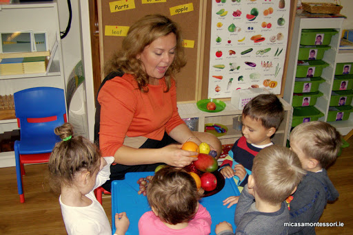 Mi Casa Montessori Pre-school Summerfield