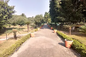 PN Mehra Botanical Garden image