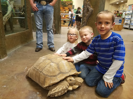 Pet Store «Lost Realms Pets», reviews and photos, 8059 N Cedar Ave, Fresno, CA 93720, USA