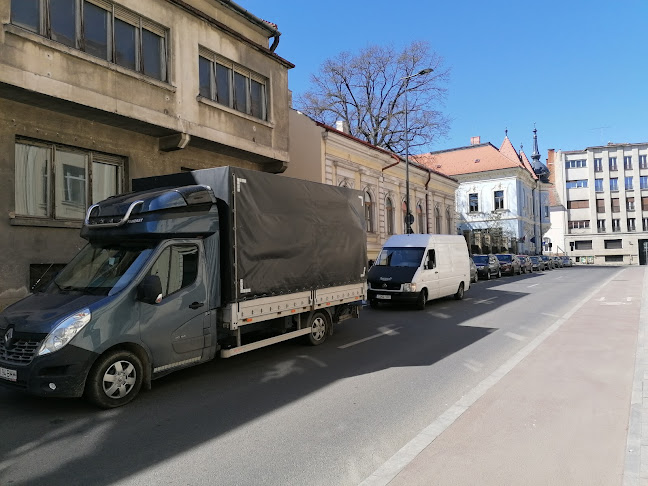 Opinii despre Transport marfa Cluj si transport mobila Cluj în <nil> - Servicii de mutare