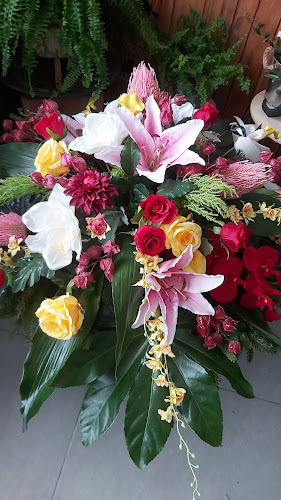 Moje Kwiatki Kwiaciarnia i Pracownia Florystyczna - Kwiaciarnia