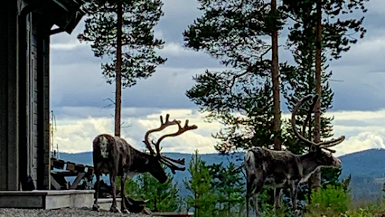 Björnrike Kantarellstigen 1