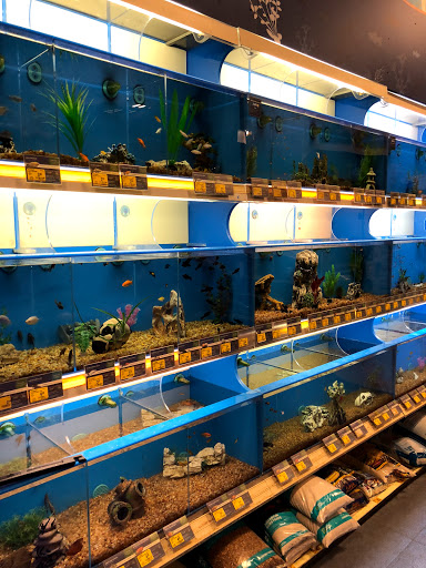 Pet Supply Store «PetSmart», reviews and photos, 6060 Long Prairie Rd, Flower Mound, TX 75028, USA