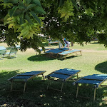 Photo n°12 de l'avis de Barbara.r fait le 20/07/2022 à 12:38 sur le  Villaggio della Salute Più à Monterenzio