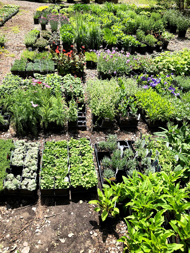 Garden Center «Stonewall Garden Center», reviews and photos, 4675 PA-447, Canadensis, PA 18325, USA