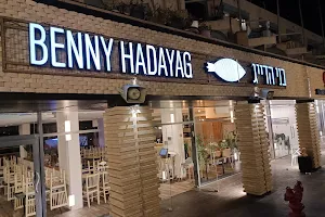 Benny HaDayag image