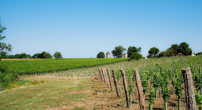 Vignobles Dubard à Saint-Méard-de-Gurçon