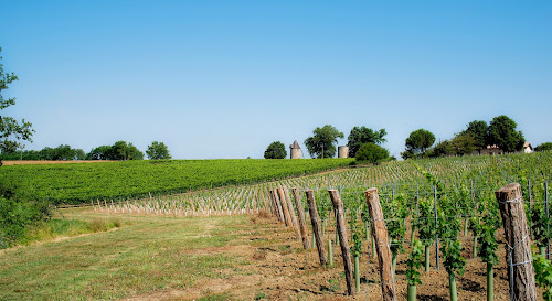 Vignobles Dubard à Saint-Méard-de-Gurçon