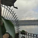 Photo n°22 de l'avis de Lella.r fait le 04/02/2020 à 14:59 sur le  Paradiso Sul Golfo Trevignano Romano à Trevignano Romano