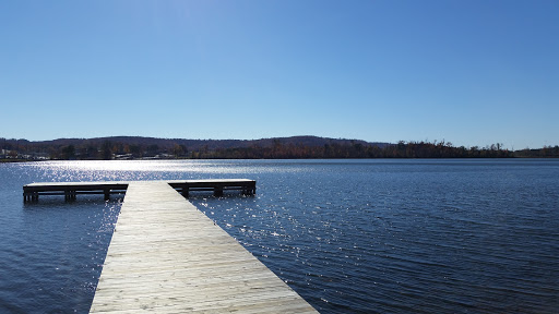 Supermarket «Publix Super Market at Guntersville Landing», reviews and photos, 2300 Gunter Ave, Guntersville, AL 35976, USA