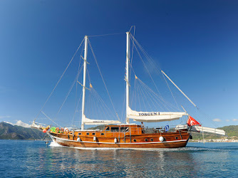 Web Tasarım ve Reklam Ajansı | GunayMedya.com