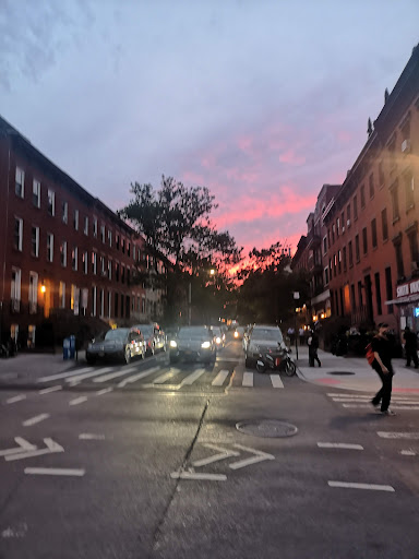 Park «Paley Park», reviews and photos, 3 E 53rd St, New York, NY 10022, USA