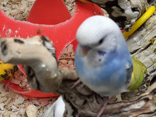 Pet Supply Store «Pet Expo Distributors», reviews and photos, 1800 Adams St, Mankato, MN 56001, USA