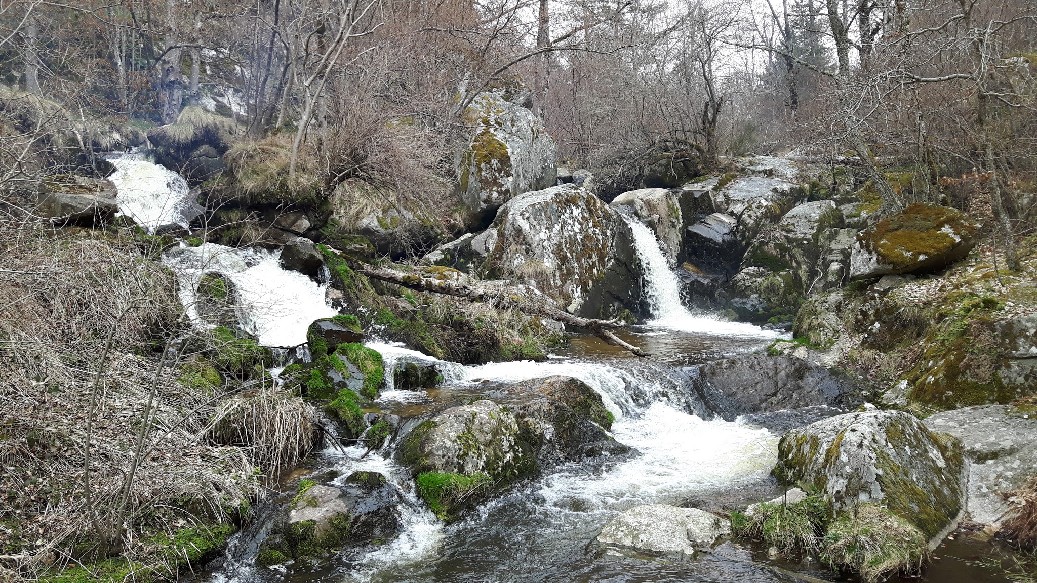 Photo n° 1 de l'avis de JJ.N fait le 08/05/2018 à 11:15