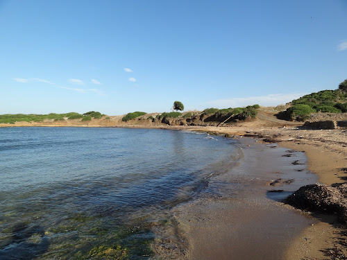 Plage De Kouali photo #2