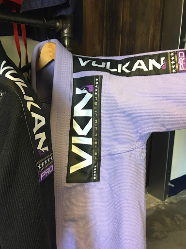 Vulkan Fight Company image