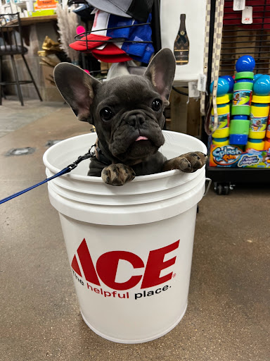 Hardware Store «Pinnacle Peak Ace Hardware», reviews and photos, 23623 N Scottsdale Rd, Scottsdale, AZ 85255, USA