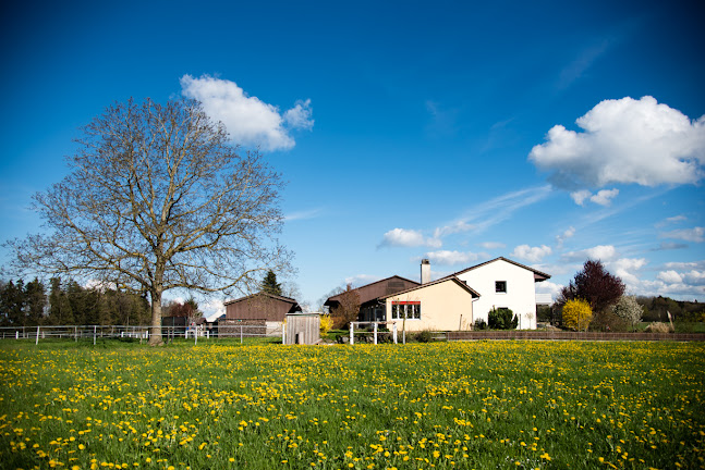 Bauernhof Tschannen / Hof-Tschannen.ch - Hotel