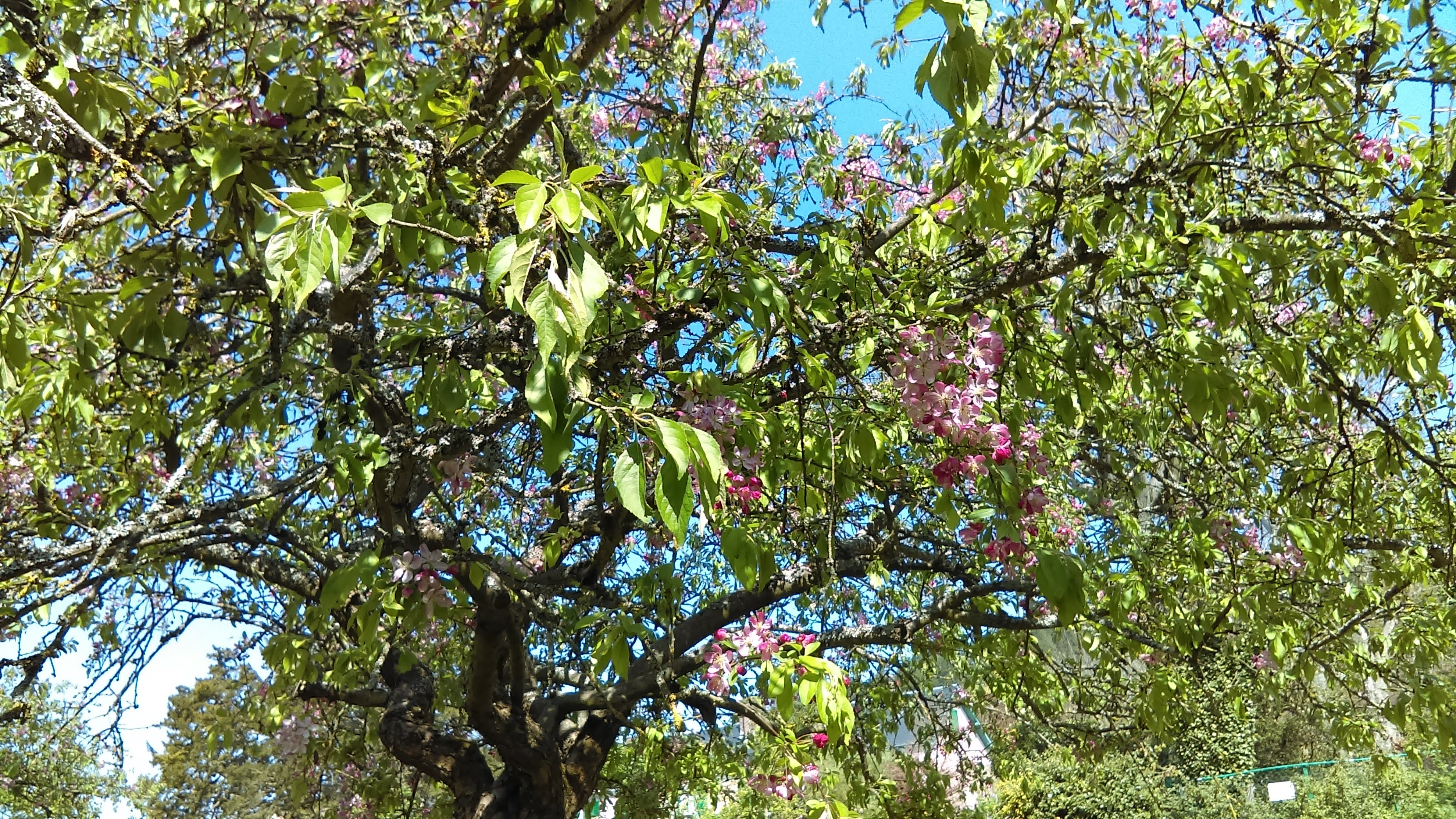 Photo n° 4 de l'avis de Delphine.g fait le 20/04/2019 à 20:52