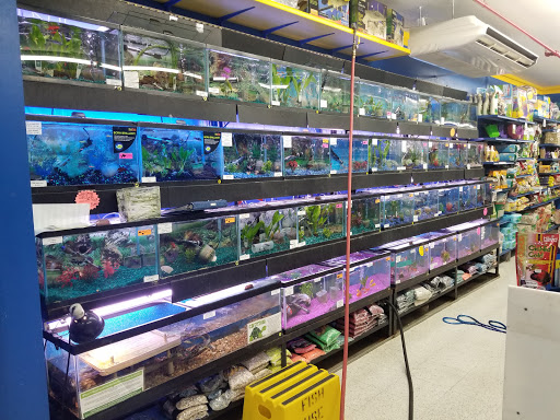 Pet Store «Petland Discounts - Willoughby», reviews and photos, 72 Willoughby St, Brooklyn, NY 11201, USA