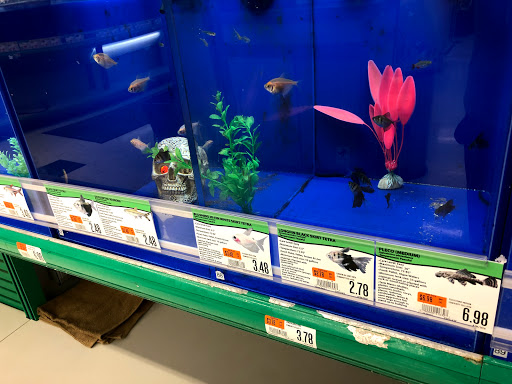 Pet Supply Store «Pet Supplies Plus», reviews and photos, 5092 Mayfield Rd, Lyndhurst, OH 44124, USA