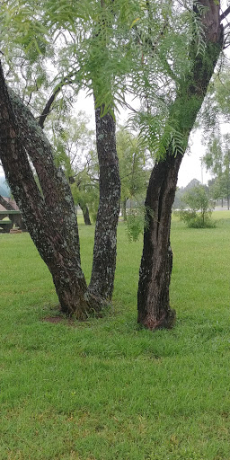 Park «Richfield Park», reviews and photos, 7250 Chapman Rd, North Richland Hills, TX 76182, USA