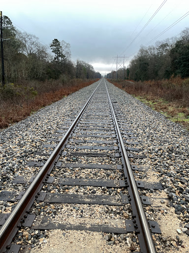 Nature Preserve «Frenchtown Rd Conservation Area», reviews and photos, 17819 Frenchtown Rd, Central, LA 70739, USA