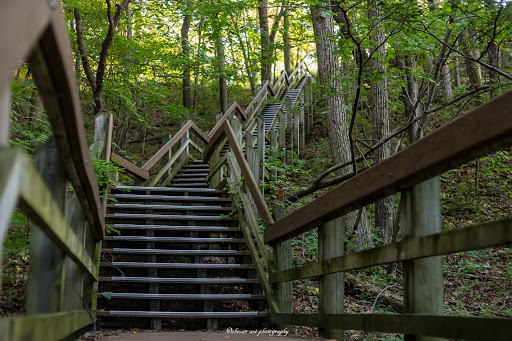 National Park «West Beach - Indiana Dunes National Lakeshore», reviews and photos, Long Lake Trail Loop, Gary, IN 46403, USA