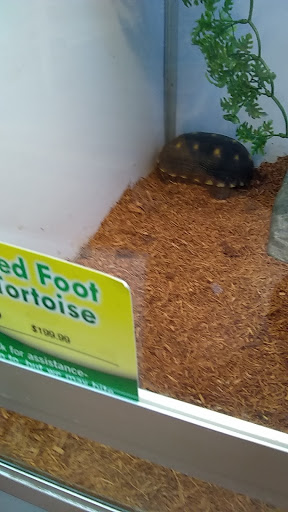 Pet Supply Store «Pet Supermarket», reviews and photos, 2924 13th St, St Cloud, FL 34769, USA