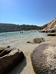 Photo n°53 de La Dolce Vita à Sari-Solenzara ()