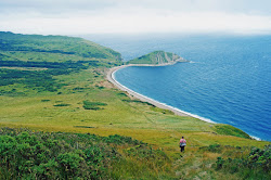 Worbarrow beach'in fotoğrafı çok temiz temizlik seviyesi ile