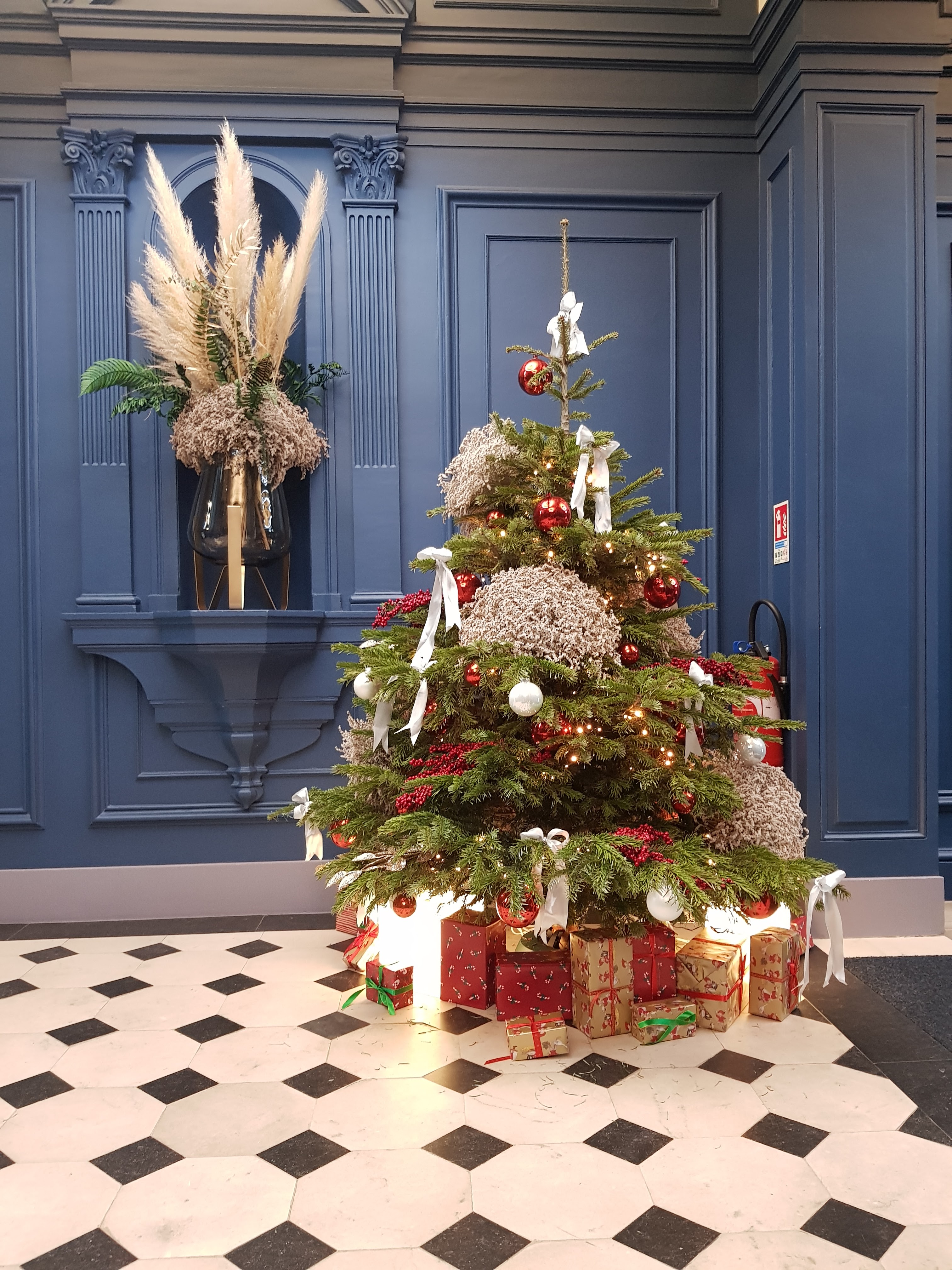 Photo n° 7 de l'avis de asil. fait le 30/12/2019 à 14:44
