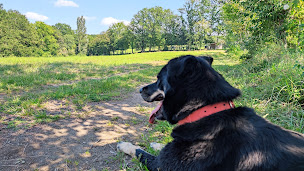 Photo n°12 de SPA Annecy Marlioz à Marlioz ()