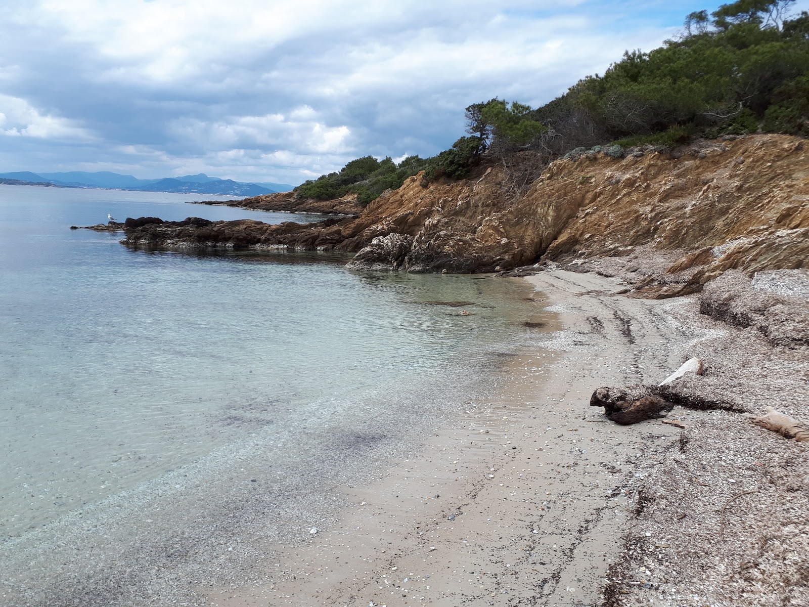 Zdjęcie Beach of Alycastre położony w naturalnym obszarze