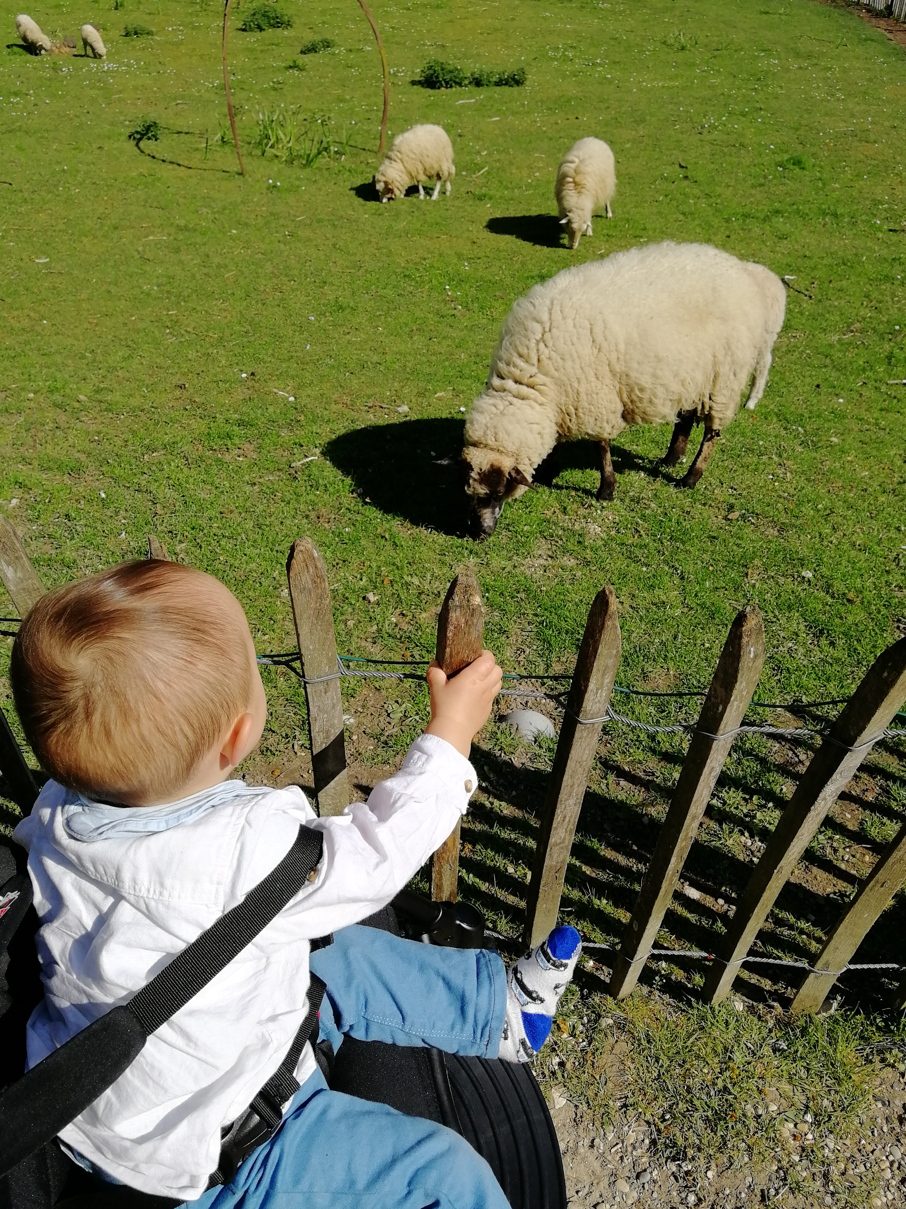 Photo n° 9 de l'avis de NathalieMac. fait le 22/04/2019 à 08:01
